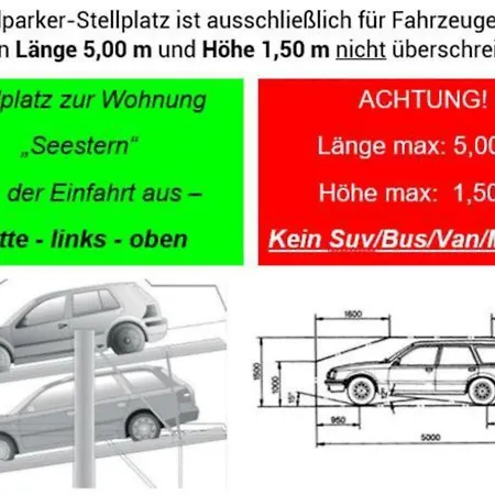 Seestern * Bad Saarow