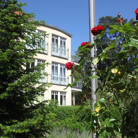 Seestern Lejlighed Bad Saarow