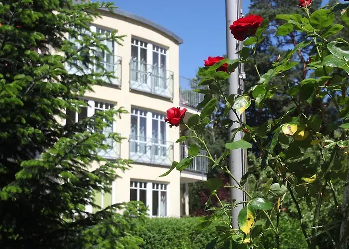 Seestern Apartment Bad Saarow